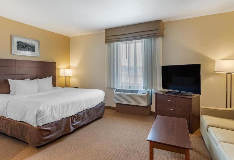 Отель Mainstay Suites Near Denver Downtown