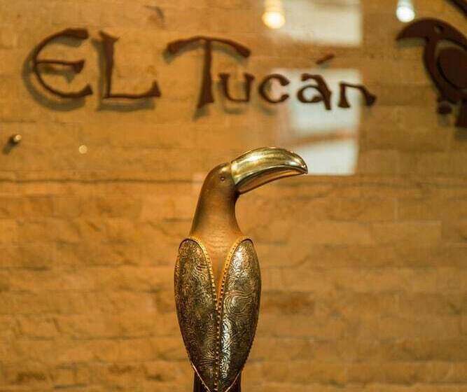 Отель Podocarpus