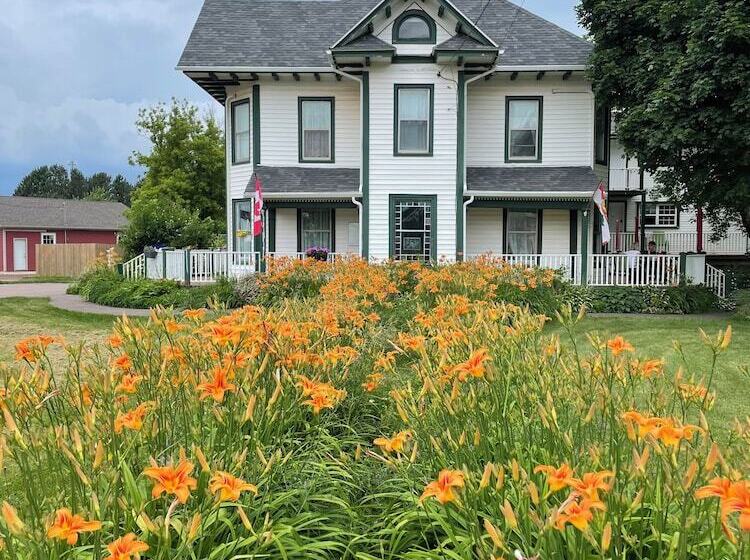 فندق Prince County Guest House