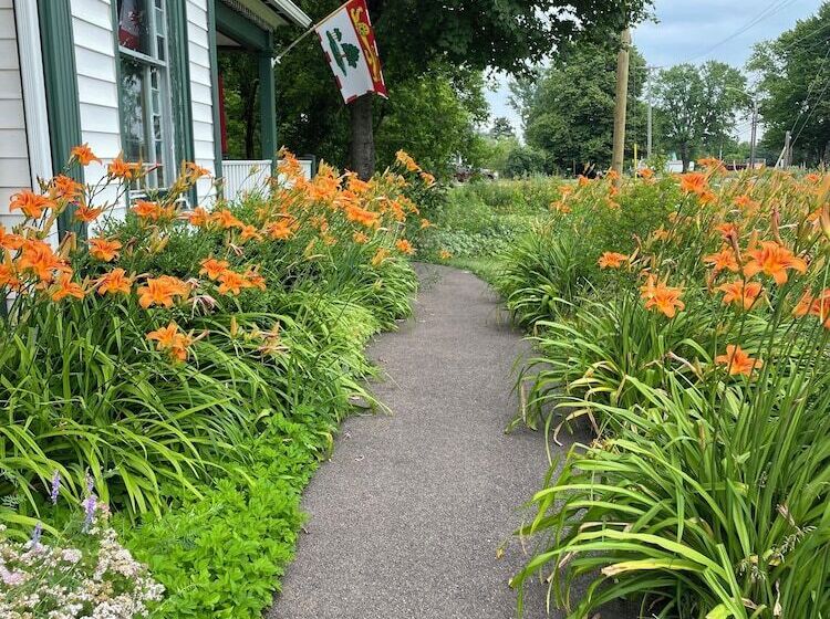 فندق Prince County Guest House