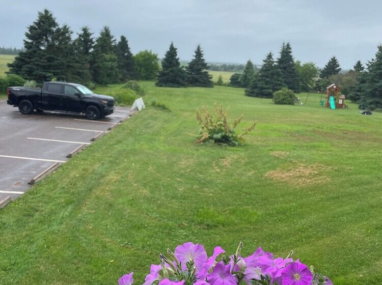 فندق Prince County Guest House