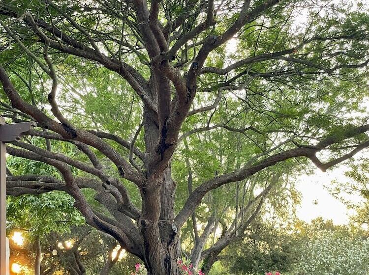 호텔 Quinta Arratz