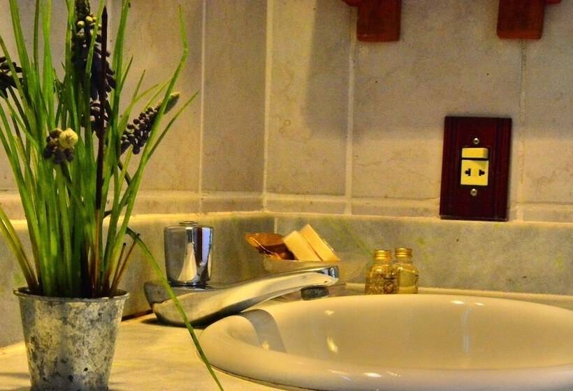 酒店 Recanto Das Andorinhas Studios