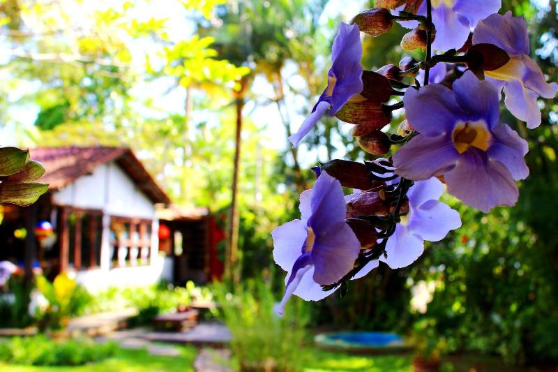 酒店 Recanto Das Andorinhas Studios