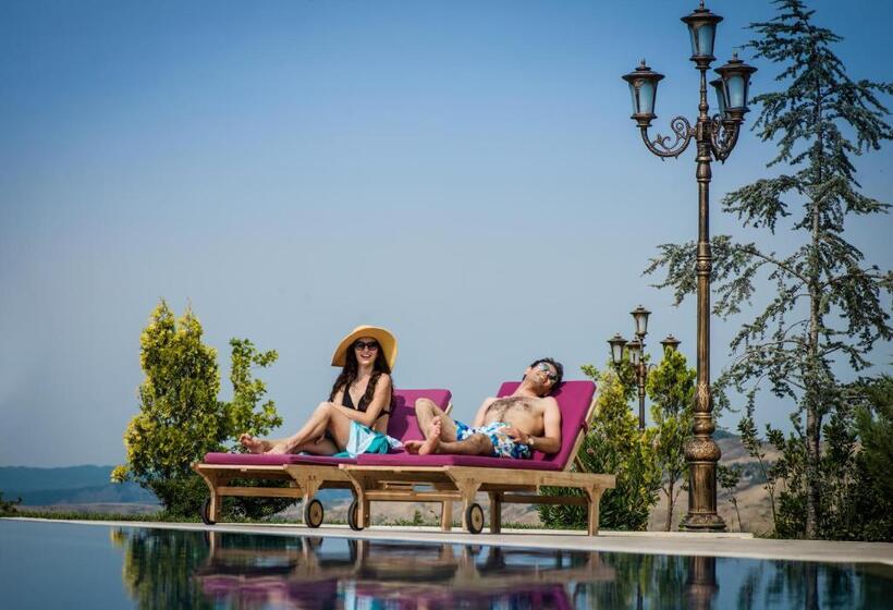 هتل Shamakhi Palace Sharadil