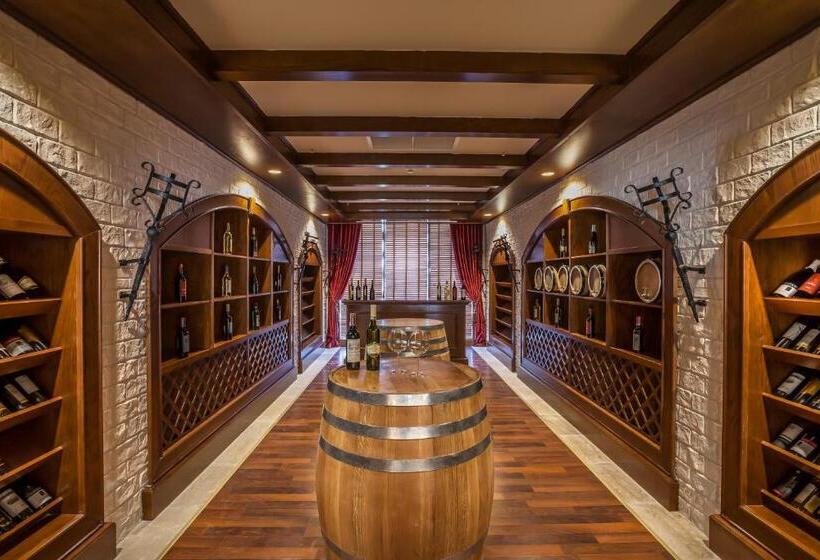 هتل Shamakhi Palace Sharadil