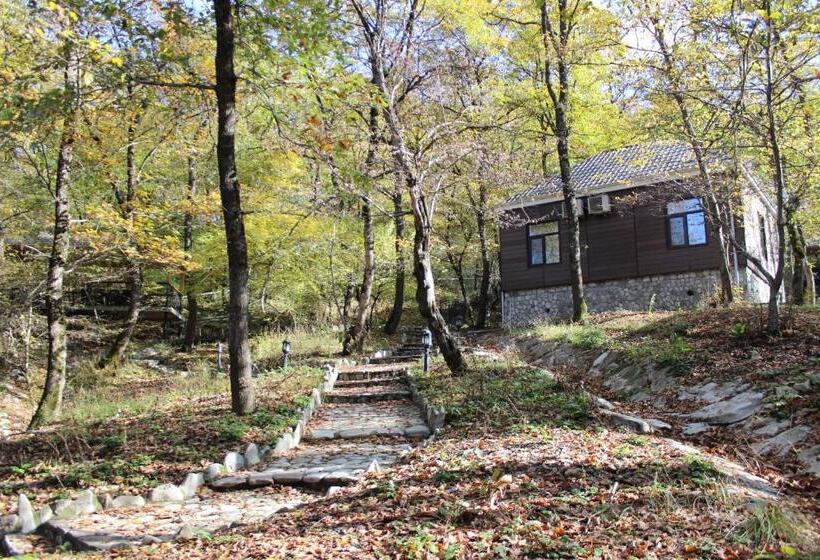 هتل Shamakhi Palace Sharadil