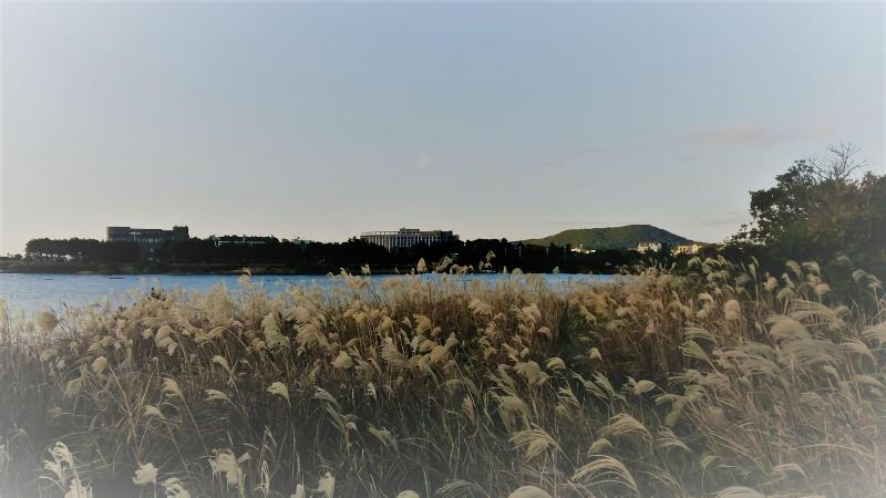 בית מלון כפרי The Best Jeju Seongsan