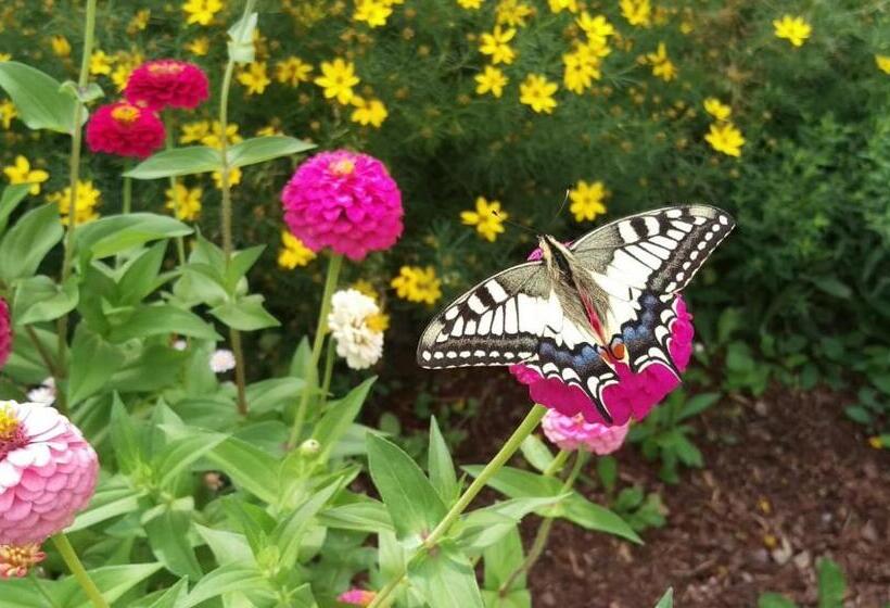 בית מלון כפרי Weingut Tiliahof