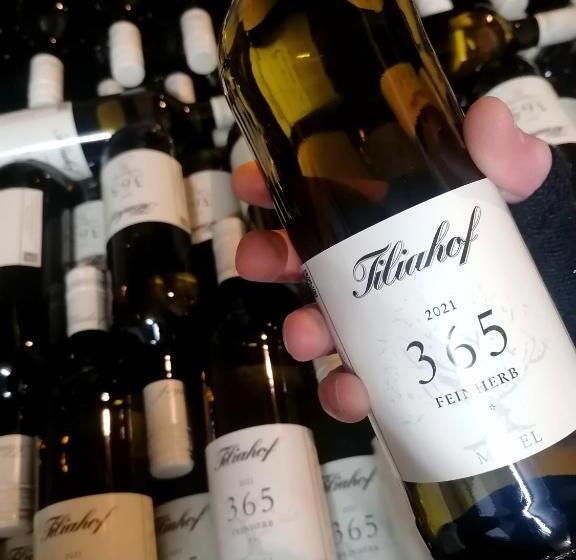 בית מלון כפרי Weingut Tiliahof