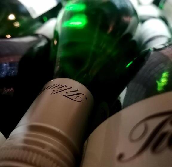 בית מלון כפרי Weingut Tiliahof