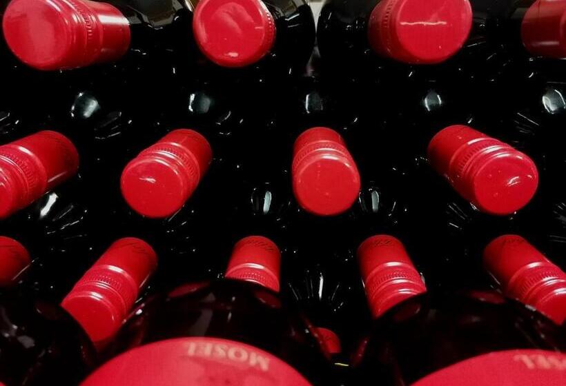 בית מלון כפרי Weingut Tiliahof