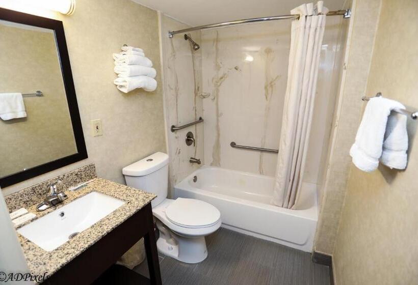 فندق على الطريق La Mirage