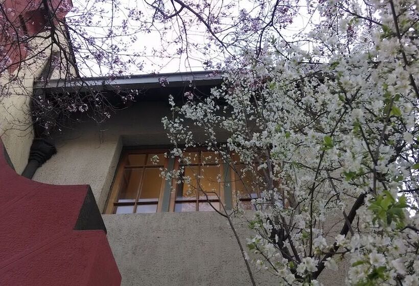 Providencia Bed And Breakfast