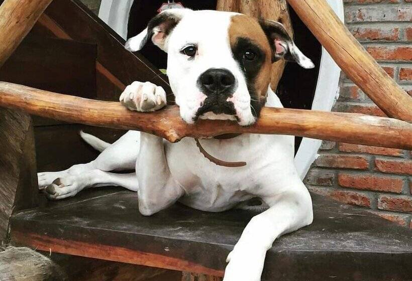 فندق صغير Hostal Rutamar