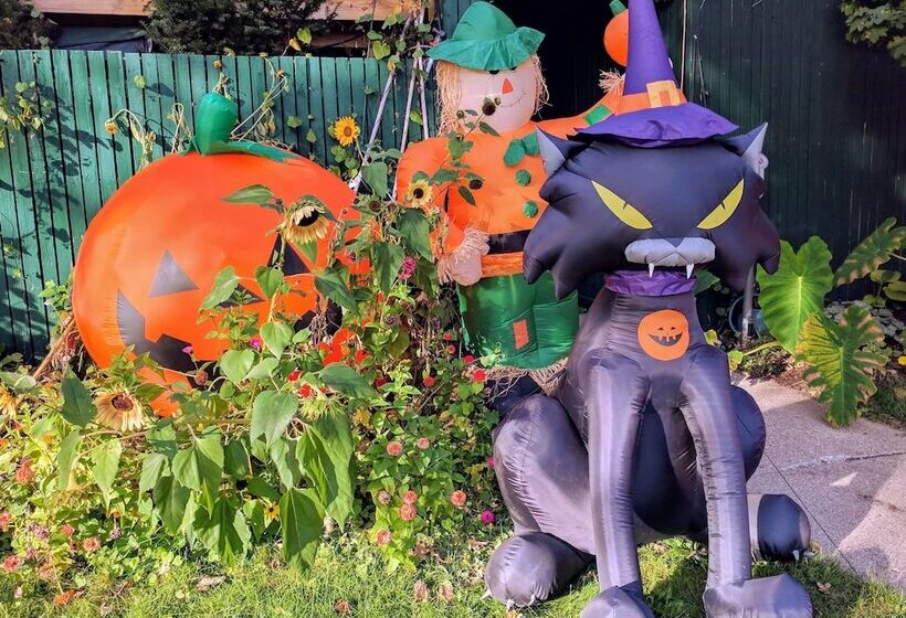 Ann Arbor Bed And Breakfast