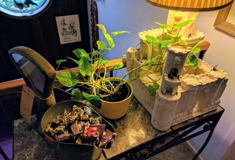 Ann Arbor Bed And Breakfast