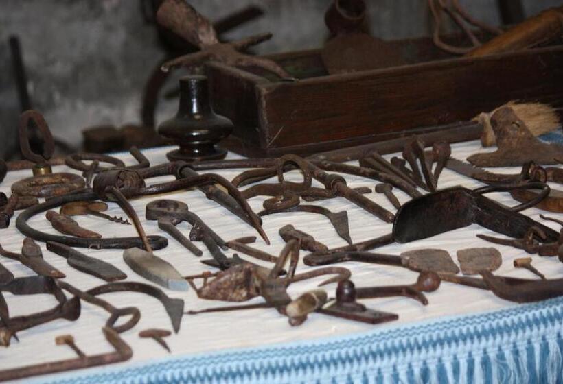 B&b Aesis La Dolce Collina