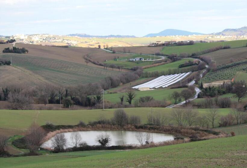 B&b Aesis La Dolce Collina