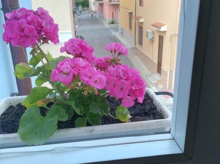 住宿加早餐  A Vucciria