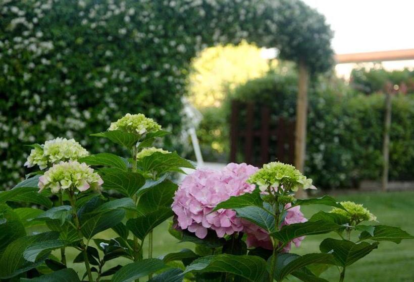 צימר La Coccinella