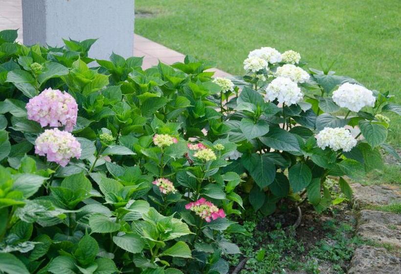 مبيت وإفطار La Coccinella