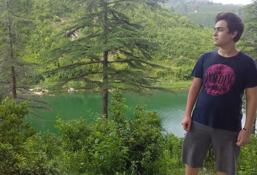 تختخواب و صبحانه Manana