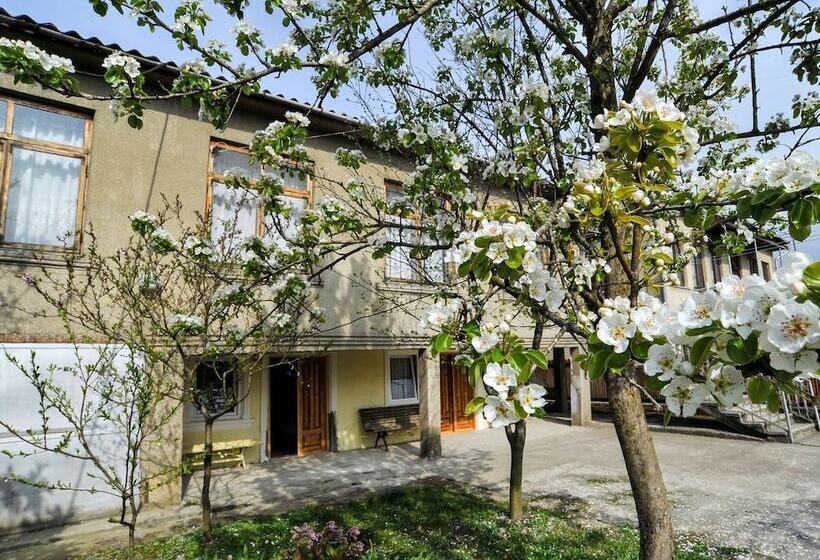 تختخواب و صبحانه Manana