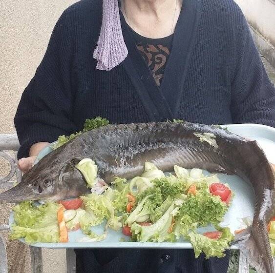 تختخواب و صبحانه Manana