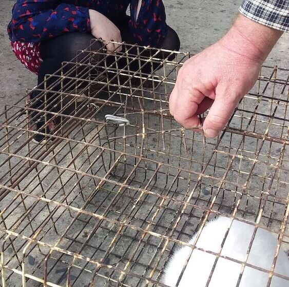 تختخواب و صبحانه Manana