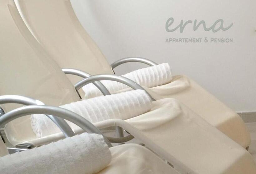 צימר Pension Apartment Erna