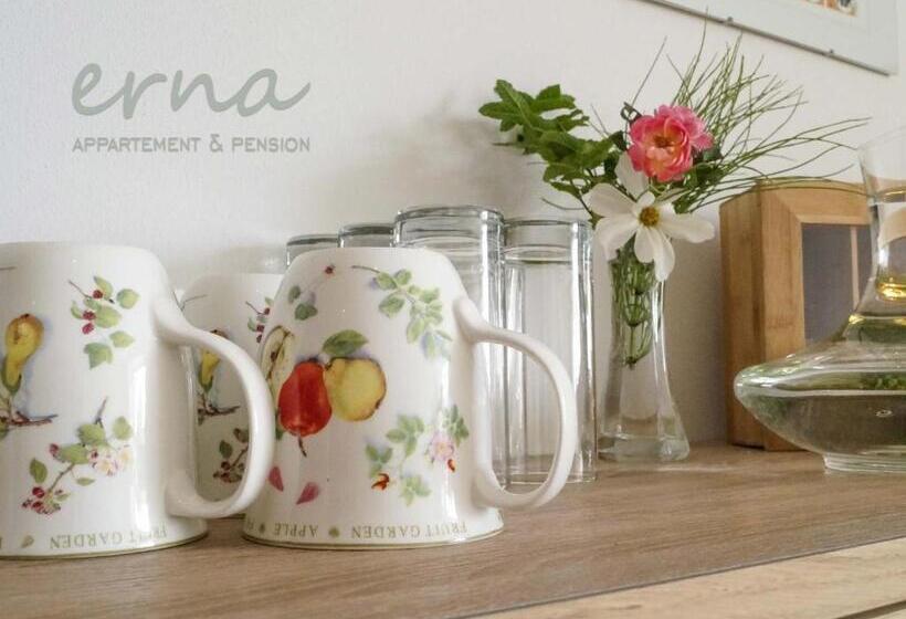 צימר Pension Apartment Erna