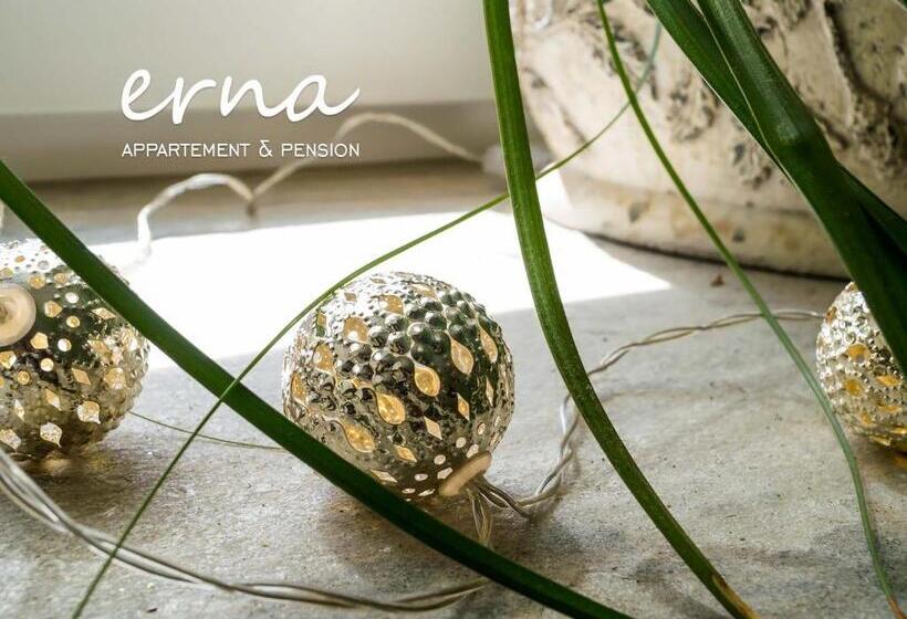 צימר Pension Apartment Erna