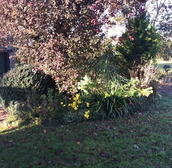 住宿加早餐  Poplar Farm