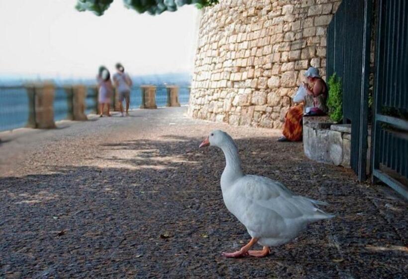 צימר Rudy Arenaile