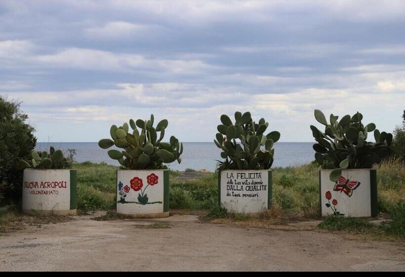مبيت وإفطار Samoa Beach