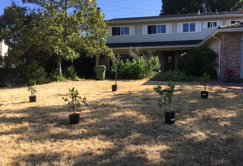 Bed and Breakfast Saratoga House Cars Available