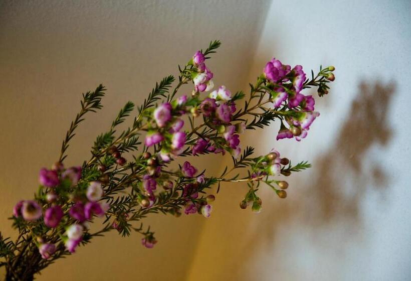 مبيت وإفطار Tabano Ristorante Casolare