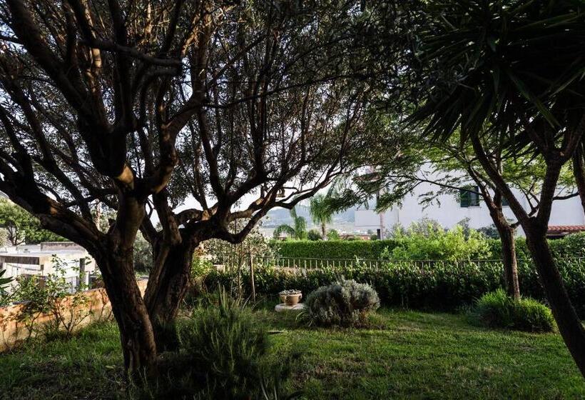 تختخواب و صبحانه Torre Ancinale