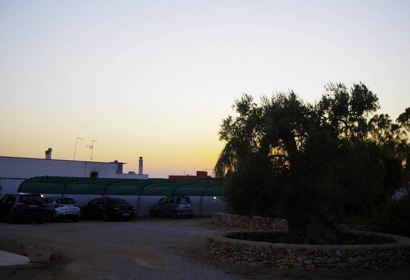 مبيت وإفطار Villa Arneide