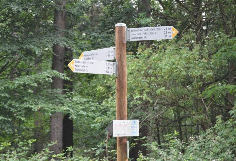 Bed and Breakfast Weingut H. Gindorf