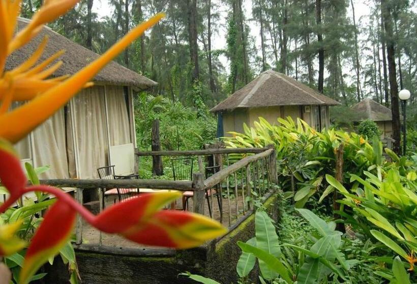 Exotica The Beach Resort