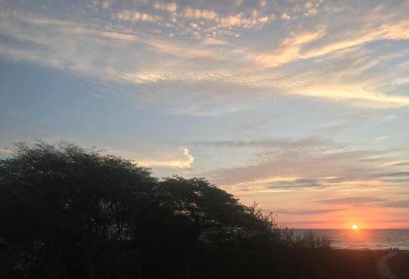 בית מלון כפרי Canoa South Beach