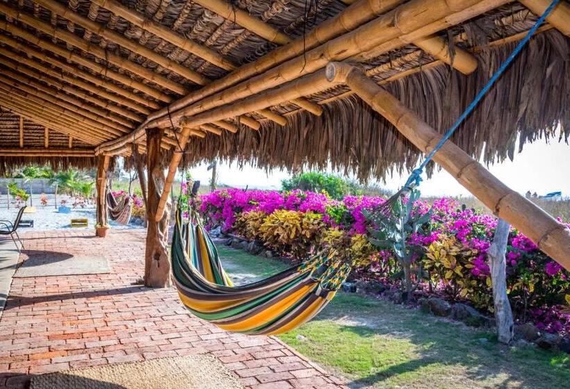 ホテル Canoa Suites