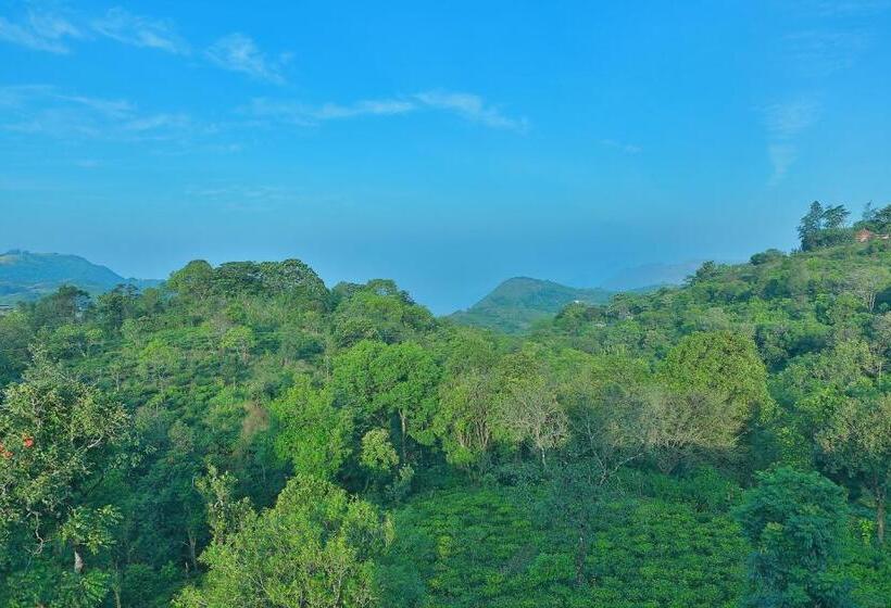 בית מלון כפרי Chillax Vagamon