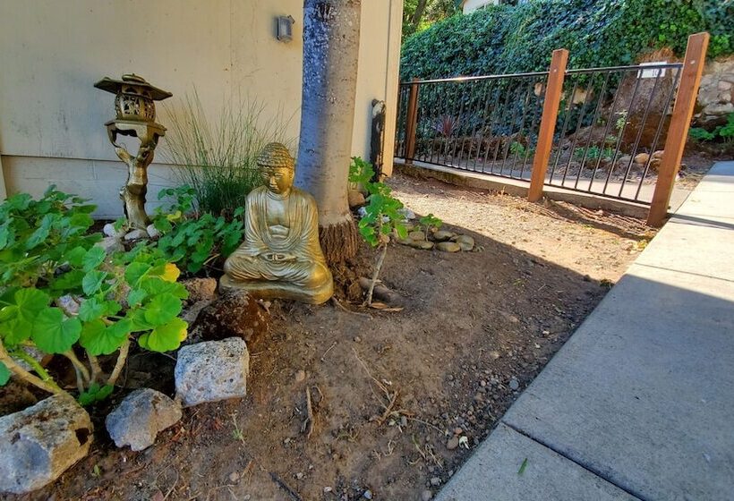 호텔 Clear Lake Vista Resort