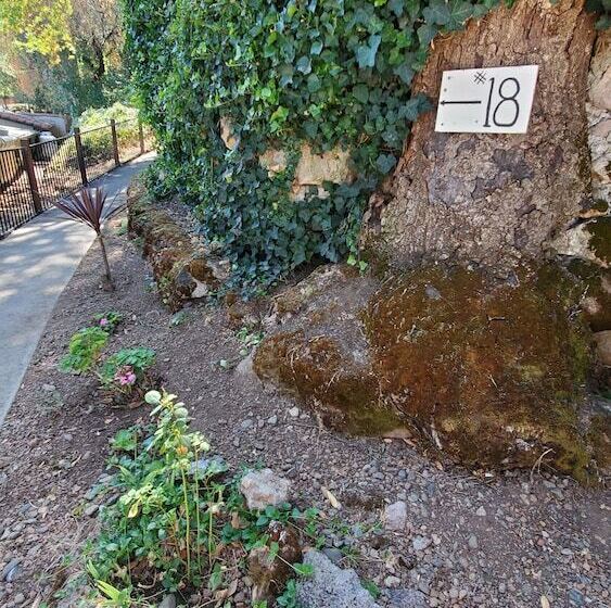 호텔 Clear Lake Vista Resort