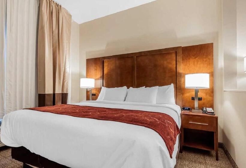فندق Comfort Suites