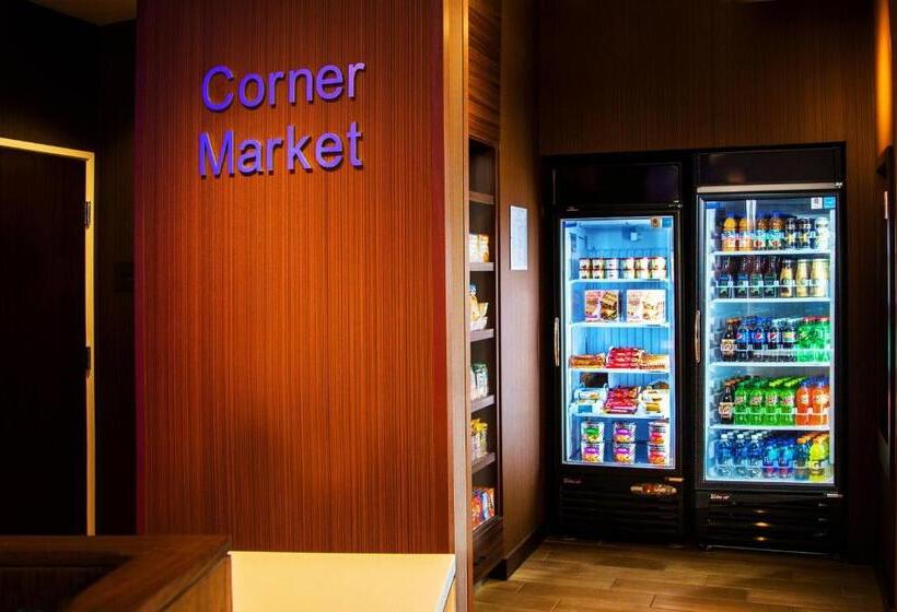 فندق Fairfield Inn & Suites By Marriott Pocatello