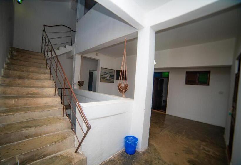 فندق Flamingo Guest House Znz